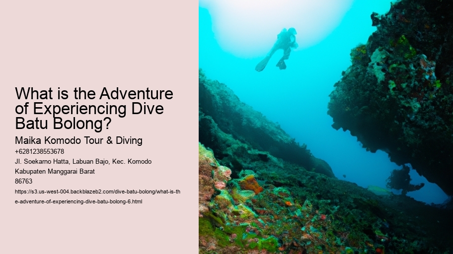 What is the Adventure of Experiencing Dive Batu Bolong?