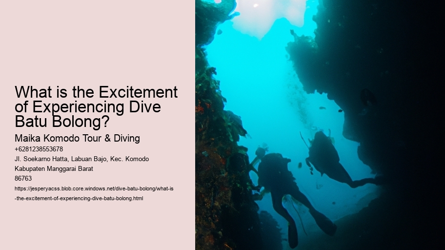 What is the Excitement of Experiencing Dive Batu Bolong?